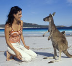 kangaroo-AustraliaIndia Tourism
